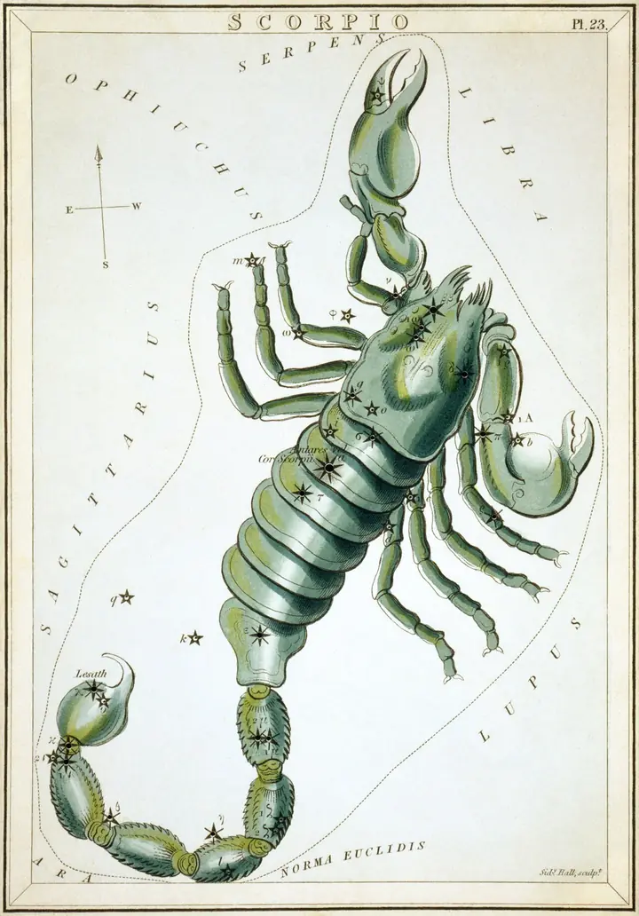 Созвездие Скорпионе — гравюра С. Холла, 1825